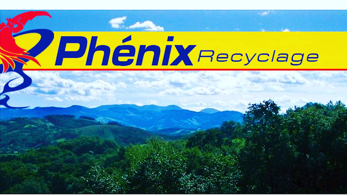 Aperçu des activités de la casse automobile PHENIX RECYCLAGE située à SAINT-MARTIN-DE-SEIGNANX (40390)